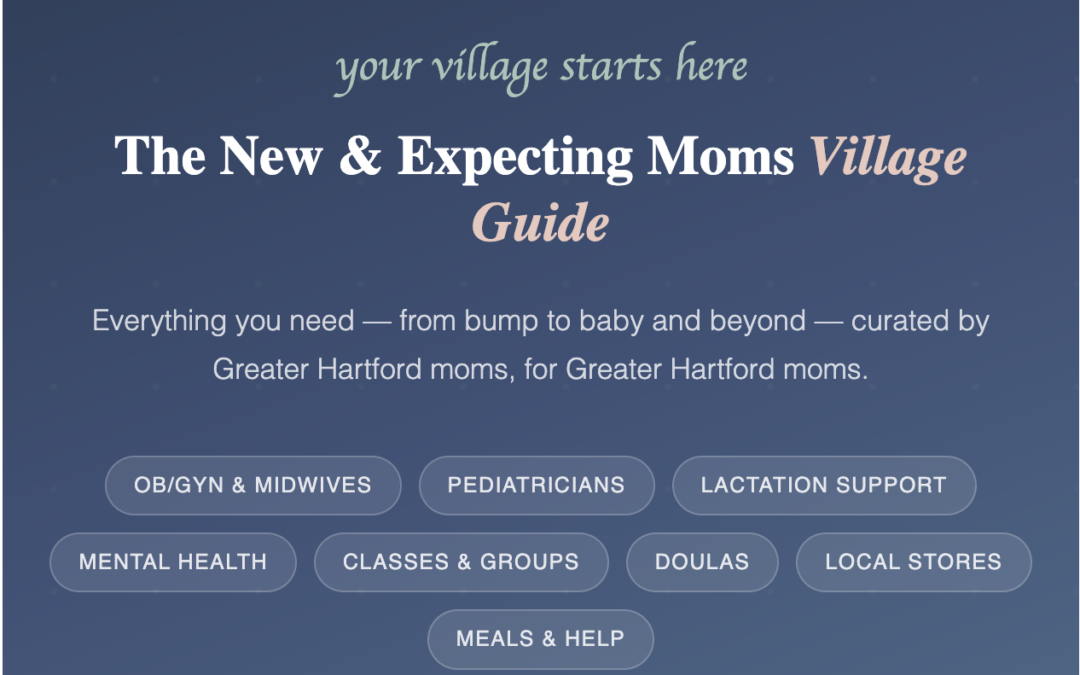 The New & Expecting Moms Village Guide